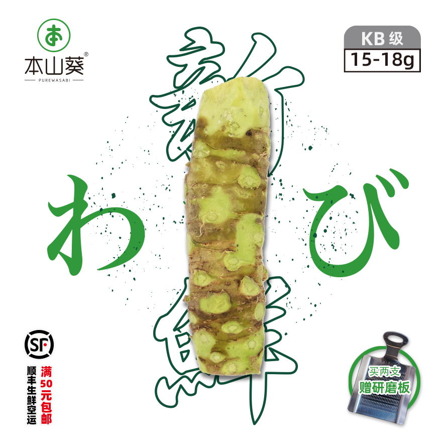 本山葵新鲜山葵厂家直销确保新鲜