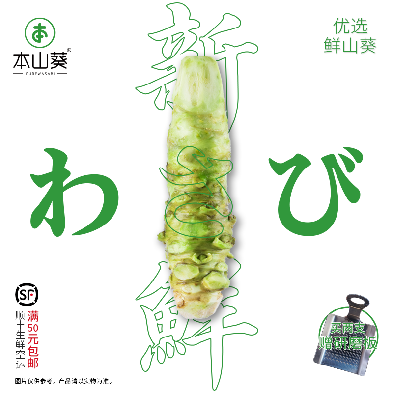 本山葵单支装优级现磨山葵根新鲜芥末 用于日料韩料烤肉寿司鱼生