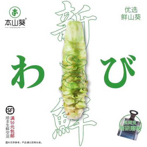 本山葵新鲜山葵厂家直销确保新鲜