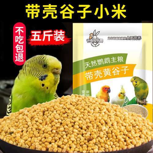 中小型鹦鹉带壳虎皮5斤黄谷子