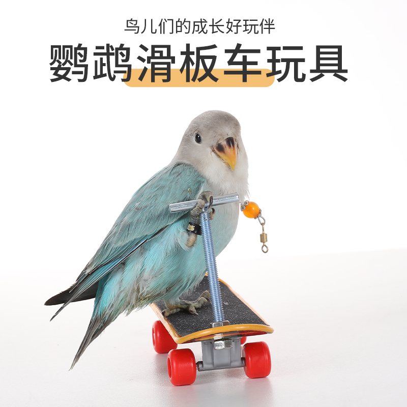 益智陪伴玄凤牡丹专用用品大全鹦鹉玩具鸟玩具滑板车解闷训练道具