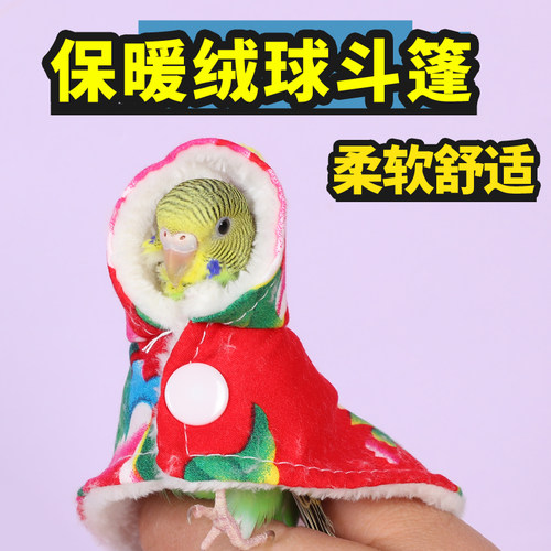 鹦鹉衣服秋冬季外出服东北大花鸟用披风鸟用过年服装小鸟斗篷