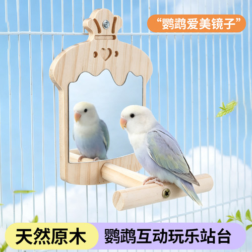 鹦鹉镜子站架小鸟壁挂玩具自嗨解闷虎皮牡丹站台鸟笼配件休息台