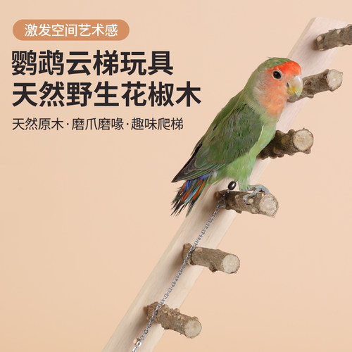 小鸟云梯木梯互动爬梯