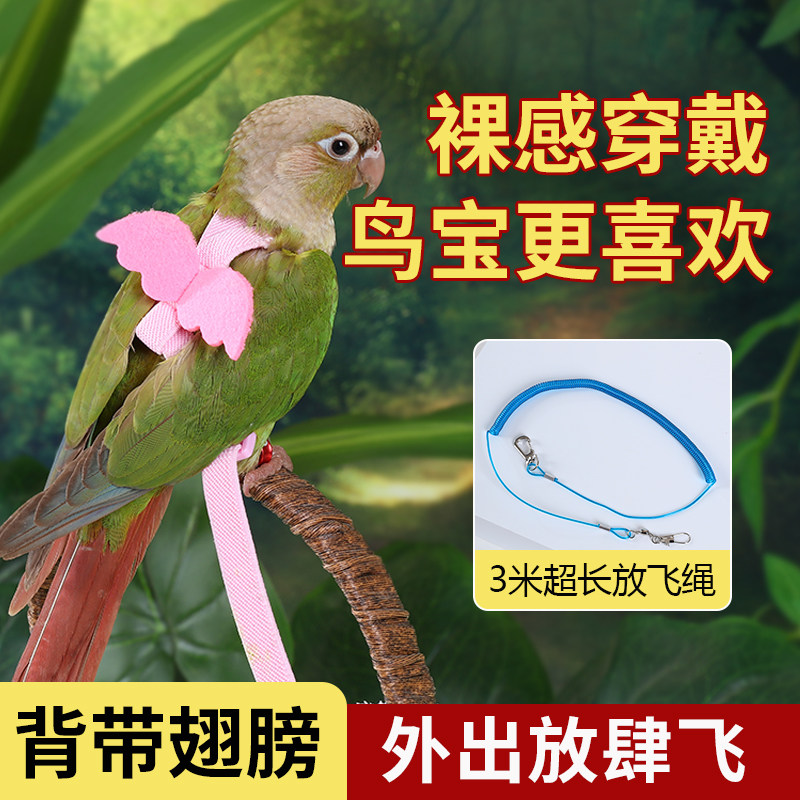 鹦鹉虎皮牡丹玄凤放飞绳超轻不勒外出背带训练溜鹦鹉鸟牵引绳