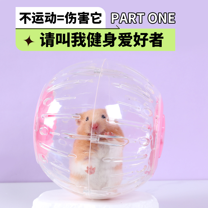 仓鼠跑球不卡脚金丝熊解闷玩具超静音跑轮豚鼠荷兰猪超大号跑球