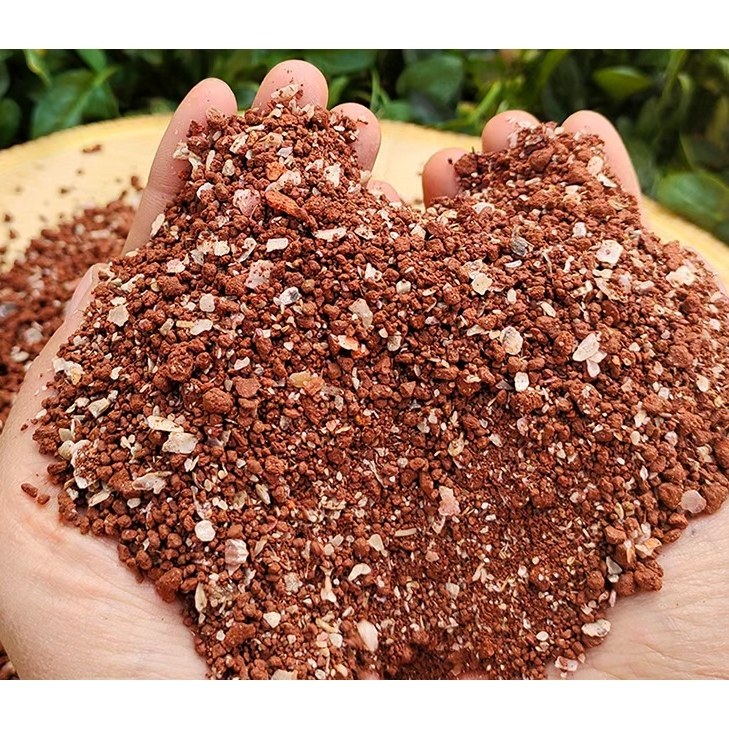 鸟用保健砂保健沙鸽子信鸽赛鸽用品鹦鹉红土鸽子饲料鸽粮鸟食,宠物/宠物食品及用品,鸟食,淘宝优惠券,粉丝福利购,淘宝优惠卷