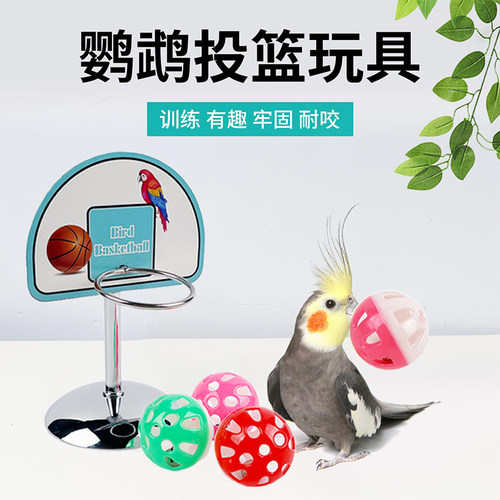 鸟用训练玩具金属篮球架