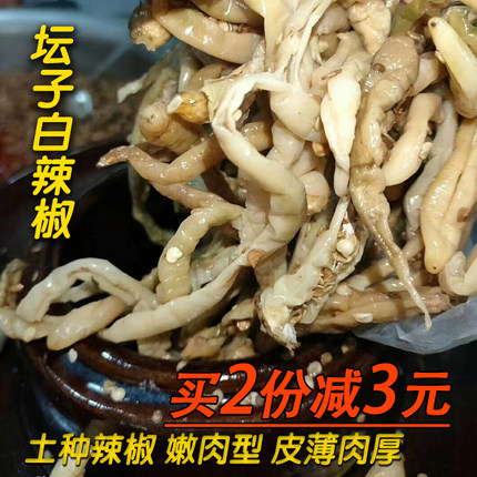 湖南白辣椒新鲜农家自制卜辣椒干坛子腌制咸辣椒土特产500g纯手工