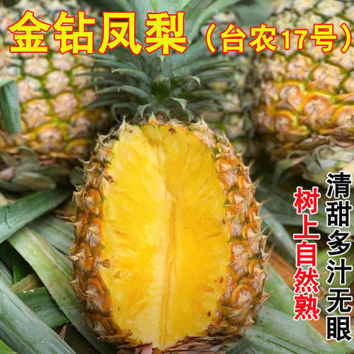 徐闻金钻凤梨台农17号新鲜水果菠萝整箱手撕凤梨应季特产送礼佳果