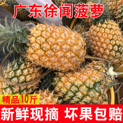 正宗广东徐闻菠萝新鲜水果整箱10斤应当季香水菠萝非金钻凤梨包邮