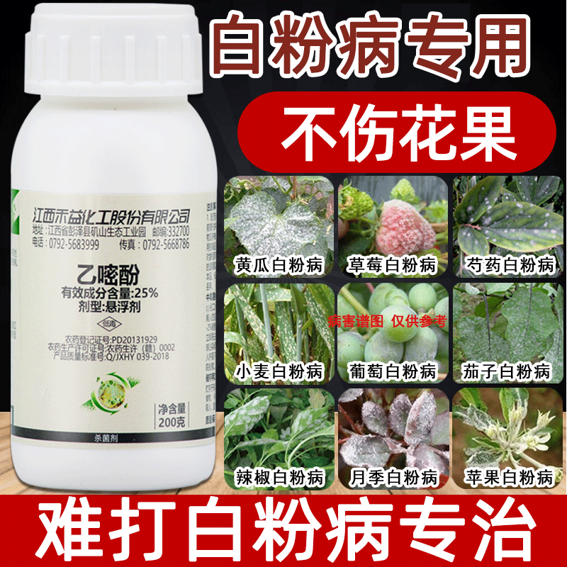 乙嘧酚白粉病专用药吩乙醚酚月季黄瓜小麦草莓蔬菜果树杀菌剂农药