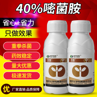 黄瓜灰霉病专用药嘧霉胺人参蔬菜植物杀菌药效特用农药大全杀菌剂