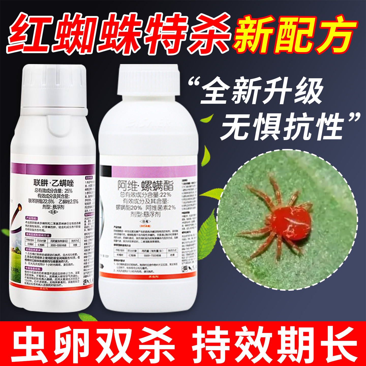 红蜘蛛专用药虫卵双杀