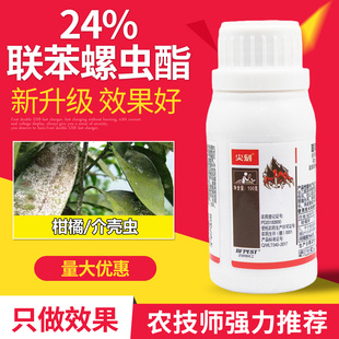专杀介壳虫的药蚧壳虫专用杀虫剂联苯菊酯螺虫乙酯杀虫药农用蔬菜