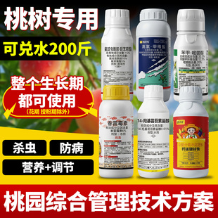 桃树杀虫专用杀虫剂食心虫流胶病花前花后蚜虫药桃子果树农药套餐