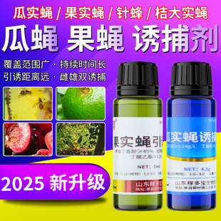 果实蝇引诱剂专用瓜实蝇针蜂诱捕剂芒果番石榴黄瓜苦瓜柑橘药效特
