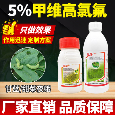 甘蓝甜菜夜蛾专用药杀虫剂5%甲维高氯氟氰菊酯甲维盐效特农药大全