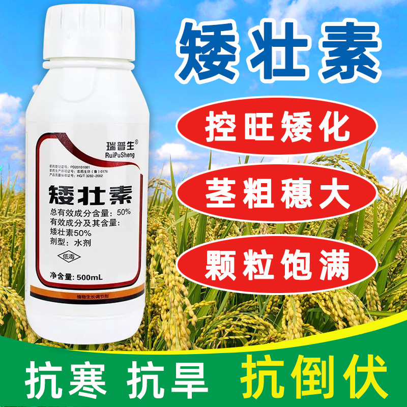 50%矮壮素控旺药生长调节剂