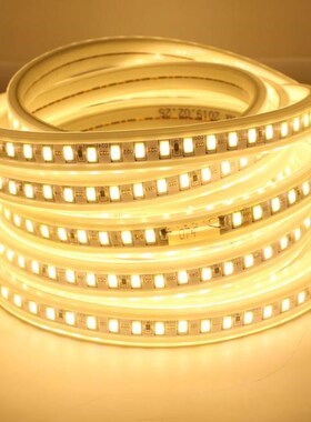 IP67 AC 220V Neon LED Strip Lights Waterproof 5730 120LEDS/M
