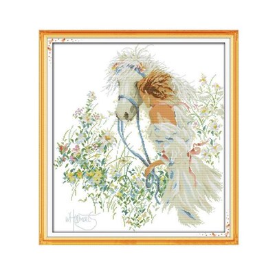 HorseAndGirlDIYamNwk