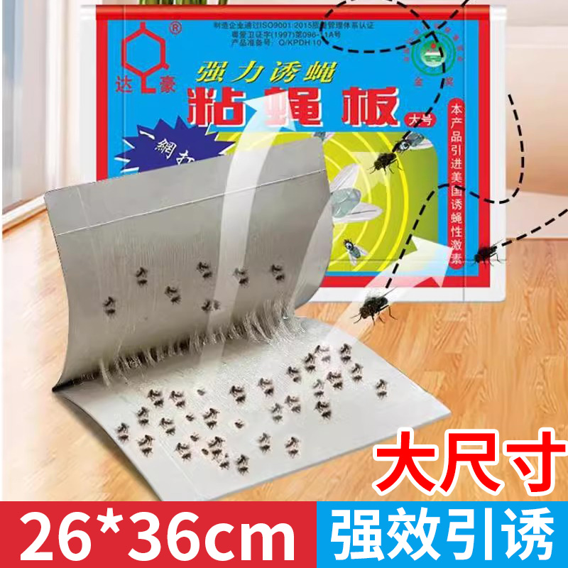 达豪大号强劲苍蝇贴家用粘蝇纸灭蝇贴粘胶药捕蝇器笼大粘蝇板10张