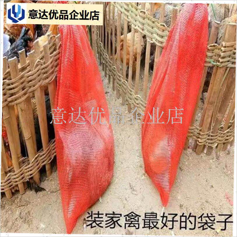 活禽专用袋加密加厚橘子橙子柚yB子洋葱大蒜玉米白菜网眼袋网兜,