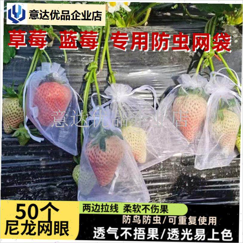 果套袋果实网袋透气番q茄番石榴蓝葡萄无花果草莓防虫防鸟保护袋,