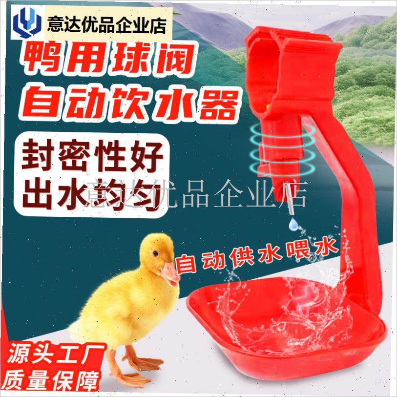 子钢球饮水器鸭用自动饮水嘴吊杯鸡鸭鹅L不锈钢乳头吊杯饮水器,,畜牧/养殖物资,养殖用具,淘宝优惠券,粉丝福利购,淘宝优惠卷