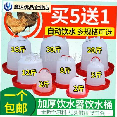 养鸡食槽水桶喂鸡槽小鸡喂食器饲料F桶喝水神器自动下料饮水饲料,
