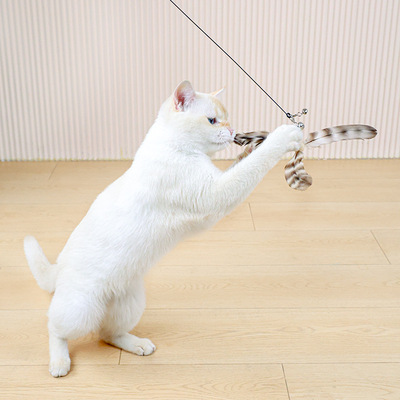 自嗨解闷长杆钢丝羽毛铃铛旋转逗猫棒头竹蜻蜓玩具幼猫耐咬替换头