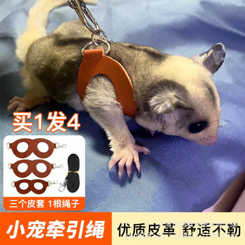 松鼠牵引绳专用背带式防咬衣服链子花枝鼠小绳子脖绳溜绳宠物大全