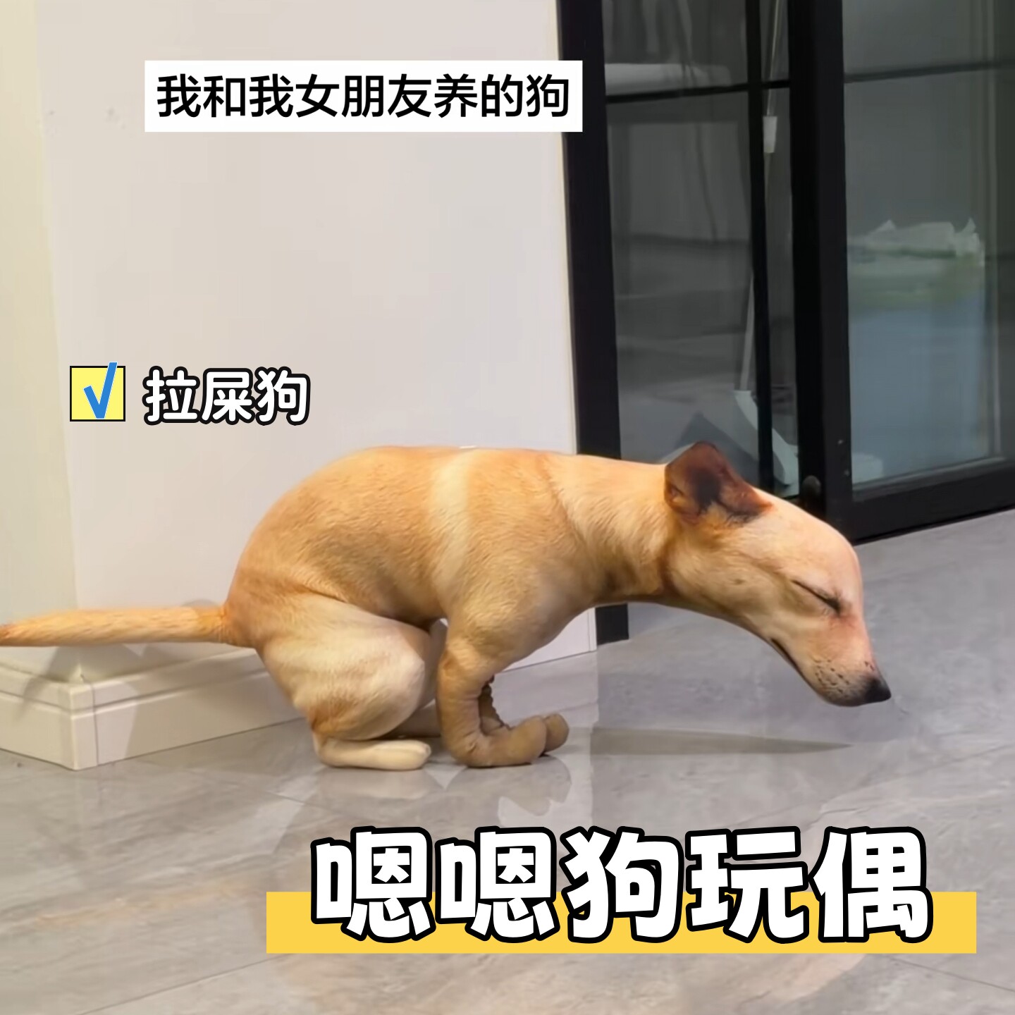 嗯嗯狗玩偶抱枕抽象猎奇拉屎狗