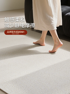 【卡提菲亚】天然新西兰羊毛地毯客厅沙发地垫卧室床边毯