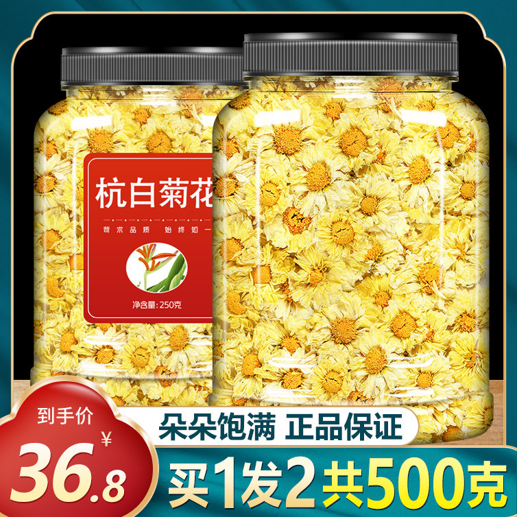 杭白菊花茶桐乡贡菊黄山黄菊散装胎菊非特级正宗