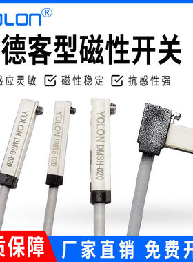 磁性开关感应器气缸信号接近开关二线电DMSJ/DMSG/DMSE/DMSH-020