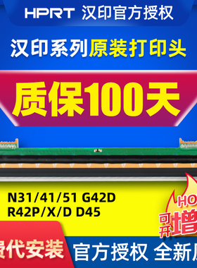 汉印全新原装打印头R42D/R42P/R32P/N41/N31R9打印机配件双排针