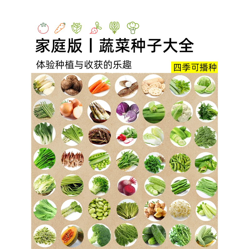 菜种籽大全蔬菜种子四季播种阳台庭院番茄辣椒萝卜盆栽种孑香韭菜