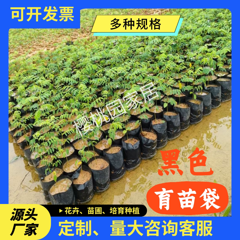 育苗袋桉树水果育苗袋槟榔营养袋黑色一次性加厚种植袋树苗营养袋
