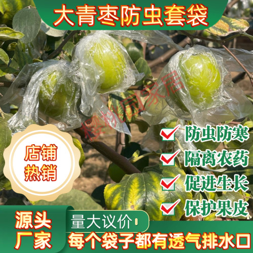 冬枣防虫袋大青枣套袋青枣果袋套保护膜套水果包装袋树上苹果枣袋