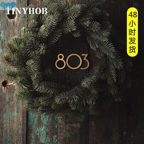 Golden Door Plates Wall Decor Door Figures Brass Address跨境