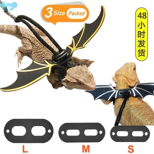 pet strap leash chest Lizard wing outing reptile leather