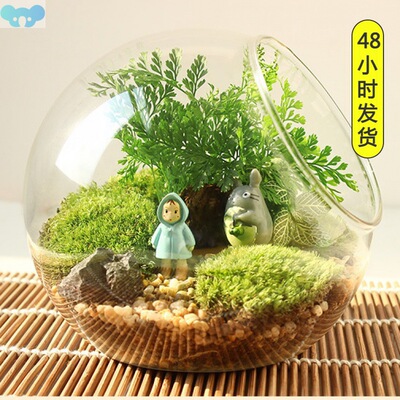Vase ornaments micro landscape beveled glass moss花瓶摆件1