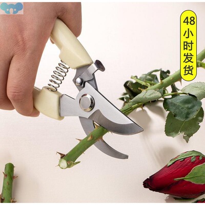 Garden Pruner Tree Cutter Gardening Pruning Shear Scissor跨