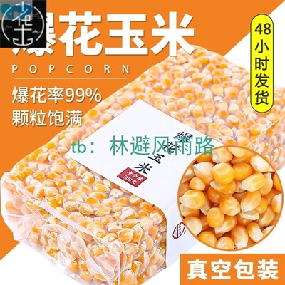 Popcorn Maize Seeds Raw Popping Kernels 爆米花玉米1kg跨境专