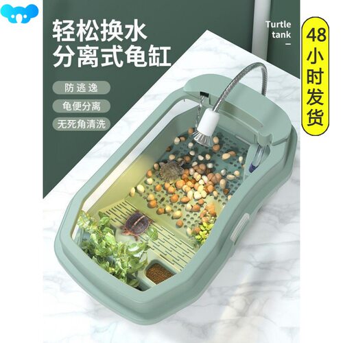 Turtle tank with 2 small turtlesBrazilian grass跨境代发