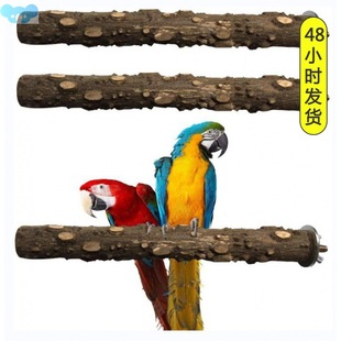 Parrot Stand Stick Pug Bird Pepperwood Bird Rod鹦鹉站架1