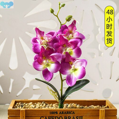 Real Touch Mini Small Orchid Artificial Flower Branch Fake跨