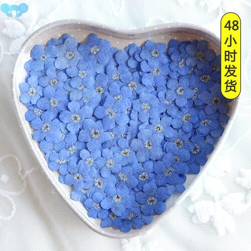 Don't forget my true flower跨境代发