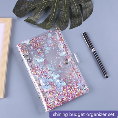 Glitter Money Organizer A6 Binder Cash Envelopes for Budget